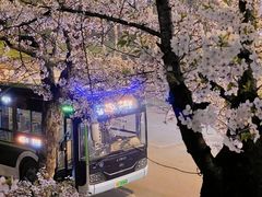 -南浦大桥长途旅游客运站