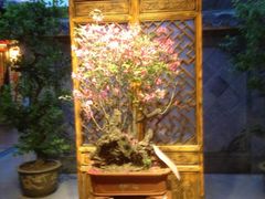 -不倒翁·徽天下名菜楼(马鞍山路店)