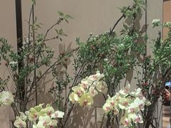 -彩丰楼·中餐厅(国家会展中心上海洲际店)