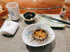 海胆-红叶日本料理(辰熙广场店)