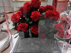 -ROSEONLY诺誓(磐基中心店)
