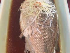 -眉州东坡(博雅店)