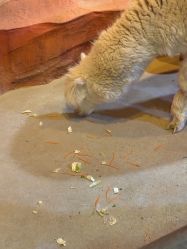 -酷嗒动物文化乐园(cutezoo西溪乐天城店)