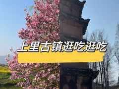 -雅安上里古镇