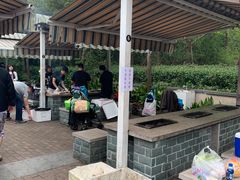 -吴淞炮台湾湿地森林公园烧烤区