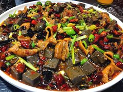 -后卫寨猫耳朵(后卫寨店)