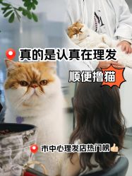 -蚂蚁造型俱乐部