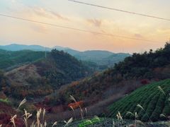 -丹山赤水风景名胜区