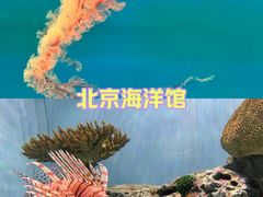 -北京海洋馆