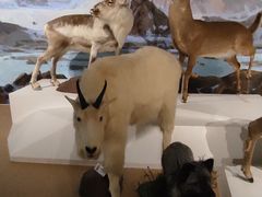 -陕西自然博物馆