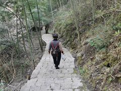 -林坑古村落