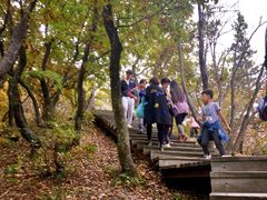 -帽儿山国家森林公园