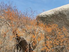 -峄山风景名胜区