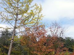 -天河潭旅游度假区