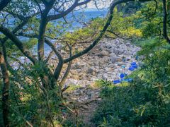 -洞背山庄(洞背院区式管理小区店)