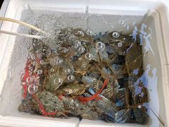 -有间冰室(侨港风情街店)