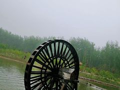 -合肥滨湖国家森林公园