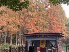 -乌镇东栅景区