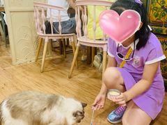 -猫小院猫主题餐厅(南锣旗舰店)