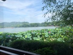 -湖畔居茶楼(湖滨店)