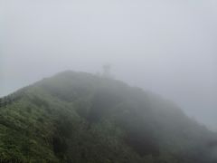 -涉地可支