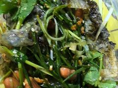 -无影脚佛山陈氏盲公丸始创店(飞鸿街店)