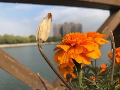 -沙澧河风景区