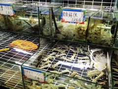 -麻屋手抓海鲜(防城港总店)