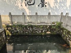 -墨池公园