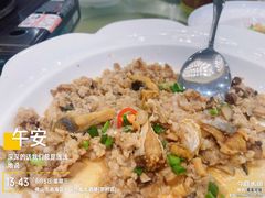 -鸿达渔港