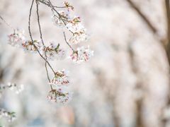 -龙美术馆(西岸馆)