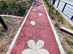 -高东镇樱花园