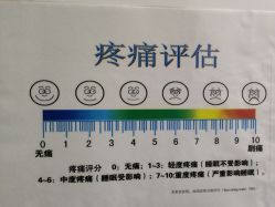 -上海市嘉定区妇幼保健院