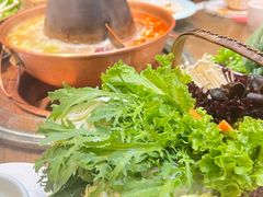 -南门四季铜锅涮肉(左家庄店)