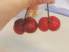 -菜园坝水果市场