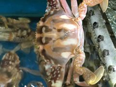 -清水湾3号(东方小周海鲜店)