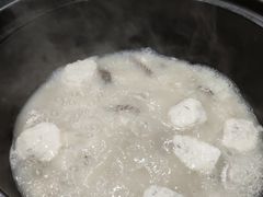 -齐海鱼圣深海石斑鱼火锅店(极地海洋世界店)