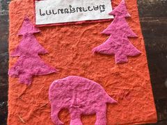 -大象粑粑造纸公园