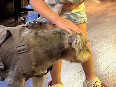 -西安浐灞艾美酒店·汉江餐厅·火锅