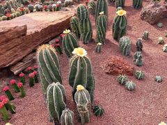 -南通洲际绿博园