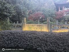 -十八棵（老龙井）御茶园(老龙井店)