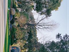 -昆山城市生态森林公园