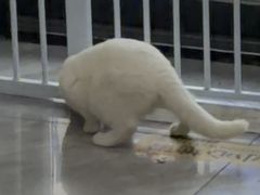 -宠颐生宠物医院·综合诊疗(先锋分院)