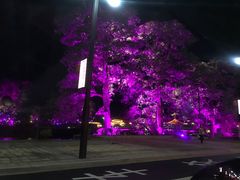 -广东温泉宾馆