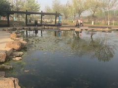 -前关湿地公园