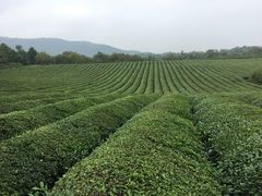 -敬亭山风景名胜区