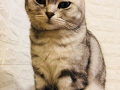 -平行世界·猫咖(首经贸店)