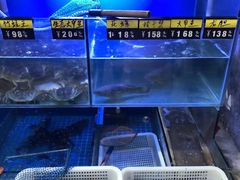 水产区-金龙·打边炉(武进路店)