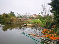 -龙回山庄