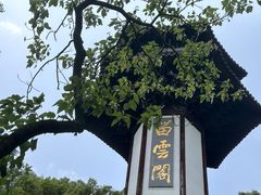 -上海佘山国家森林公园天马山园